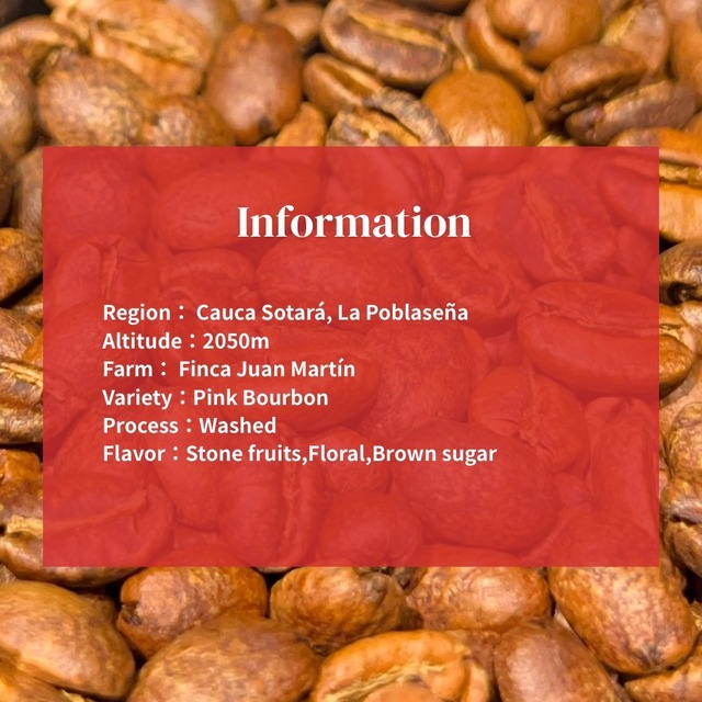 【コロンビア】Finca Juan Martín Pink Bourbon Washed｜Light roast-100g