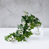 アイビー フェイクグリーン 人工観葉植物 卓上インテリア ガラス花瓶 水やり不要 つる植物 室内 ギフト