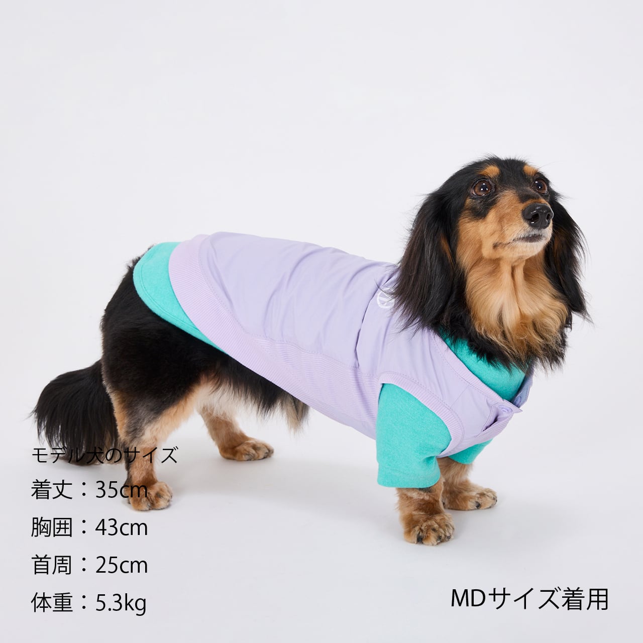 LUIZ SIMERA Lサイズ ウィンドブレーカー 白緑　ピステ LUIZ SIMERA Lサイズ ウィンドブレーカー 白緑ピステ