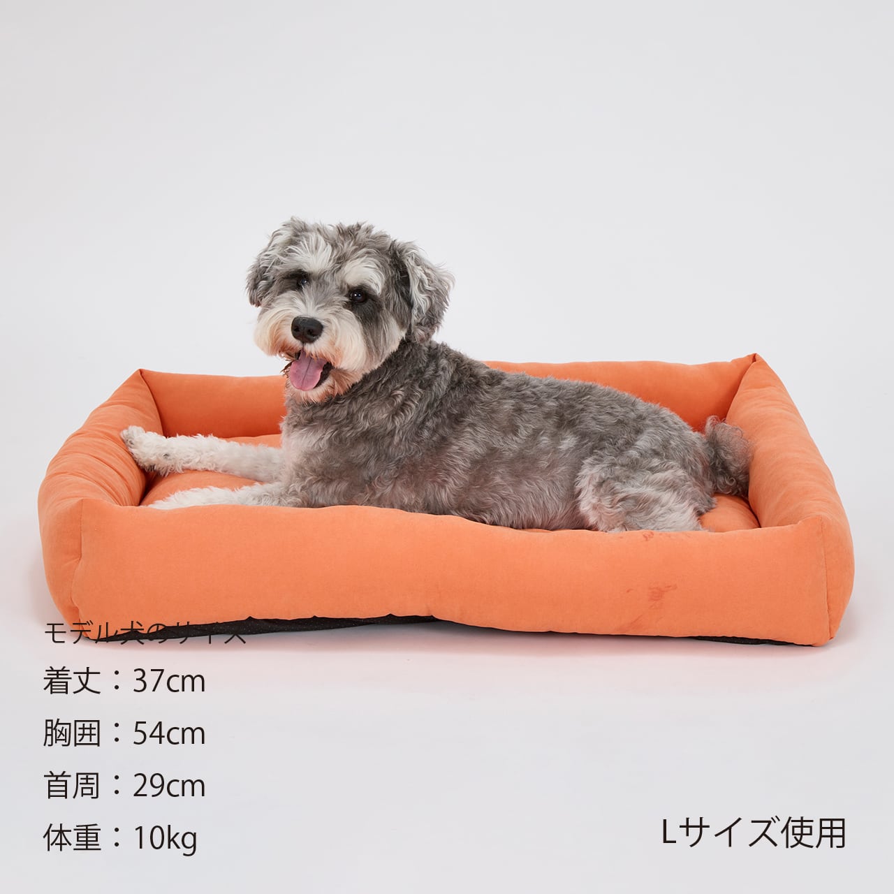 FLAT BED（M） フラットベッド | MANDARINE BROTHERS マンダリン