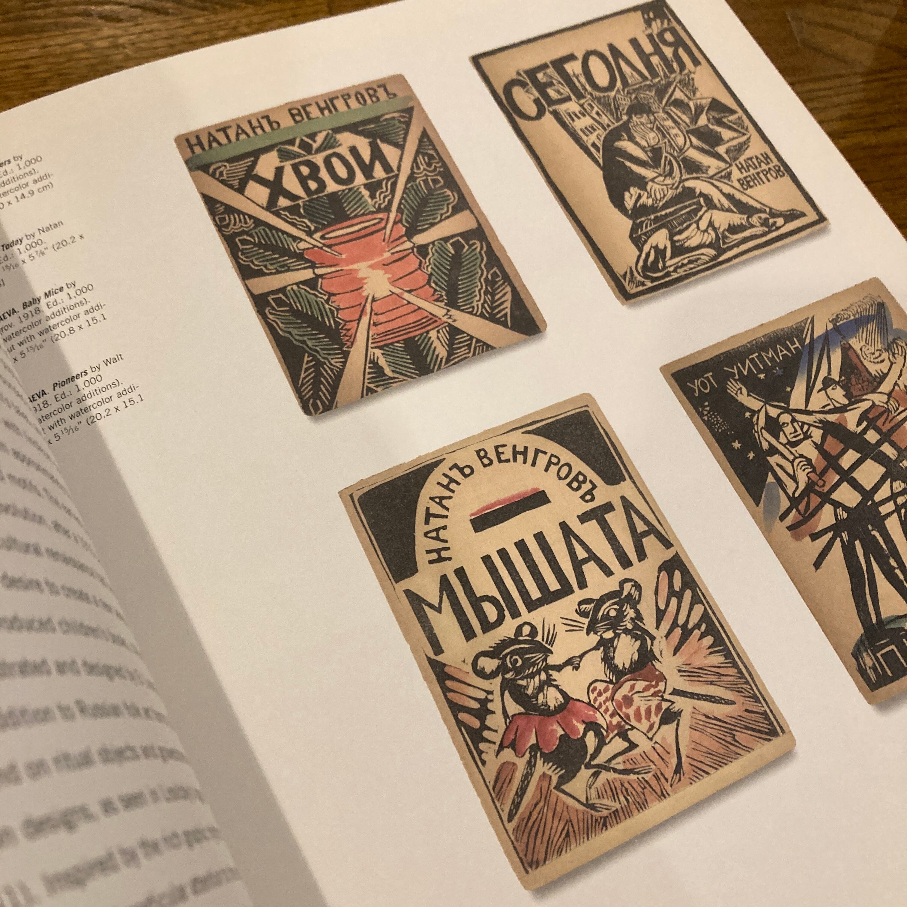 The Russian Avant-Garde Book 1910-1934 | 百年