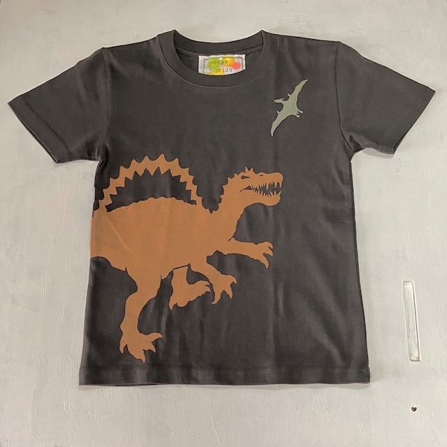 １点もの　kidsカラーTシャツ120cm「スピノサウルスとプテラノドン」120-24505-5