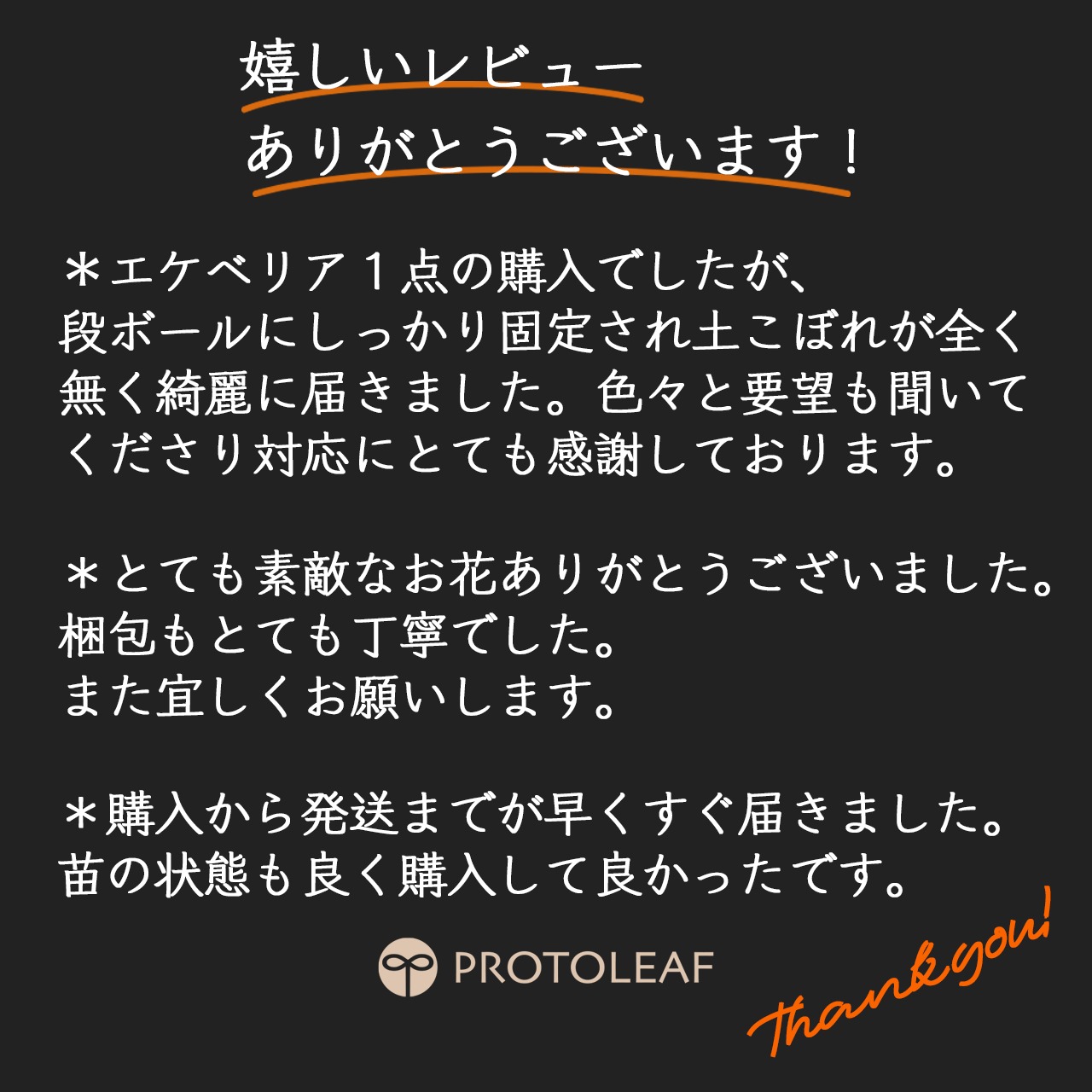 farmPALKさん苗 エケベリア ピーチコロン【634】