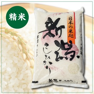 普通栽培新潟コシヒカリ（BL品種）　精米5kg（令和4年産）