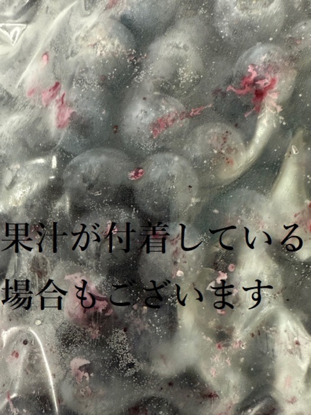 加工用　冷凍ブルーベリー500ｇ　極小　農薬不使用・画像3