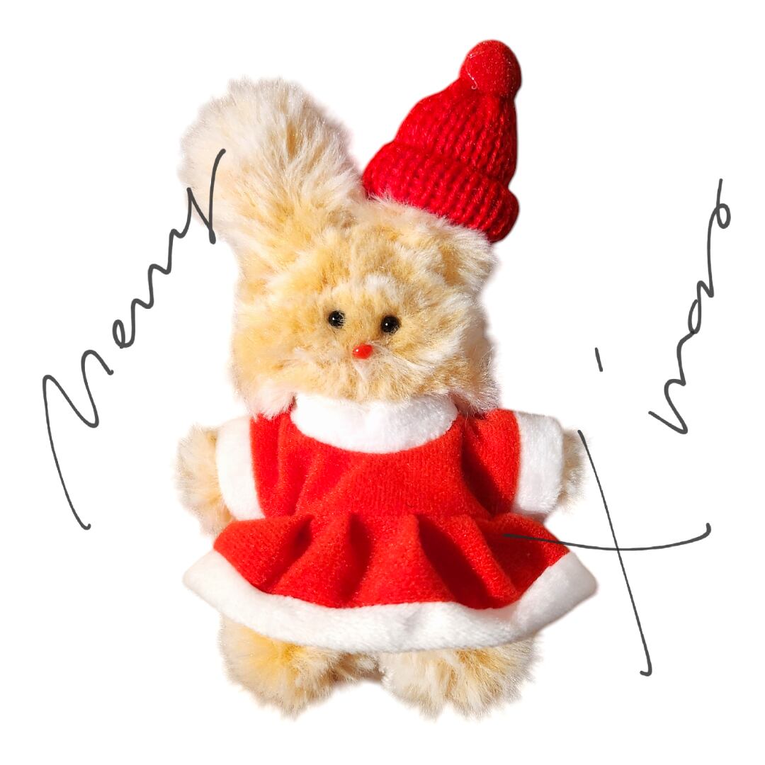 サンタのワンピース