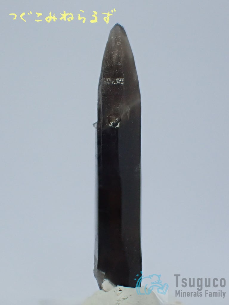 スモーキークォーツ 煙水晶 Smoky Quartz アメリカ TM-0028