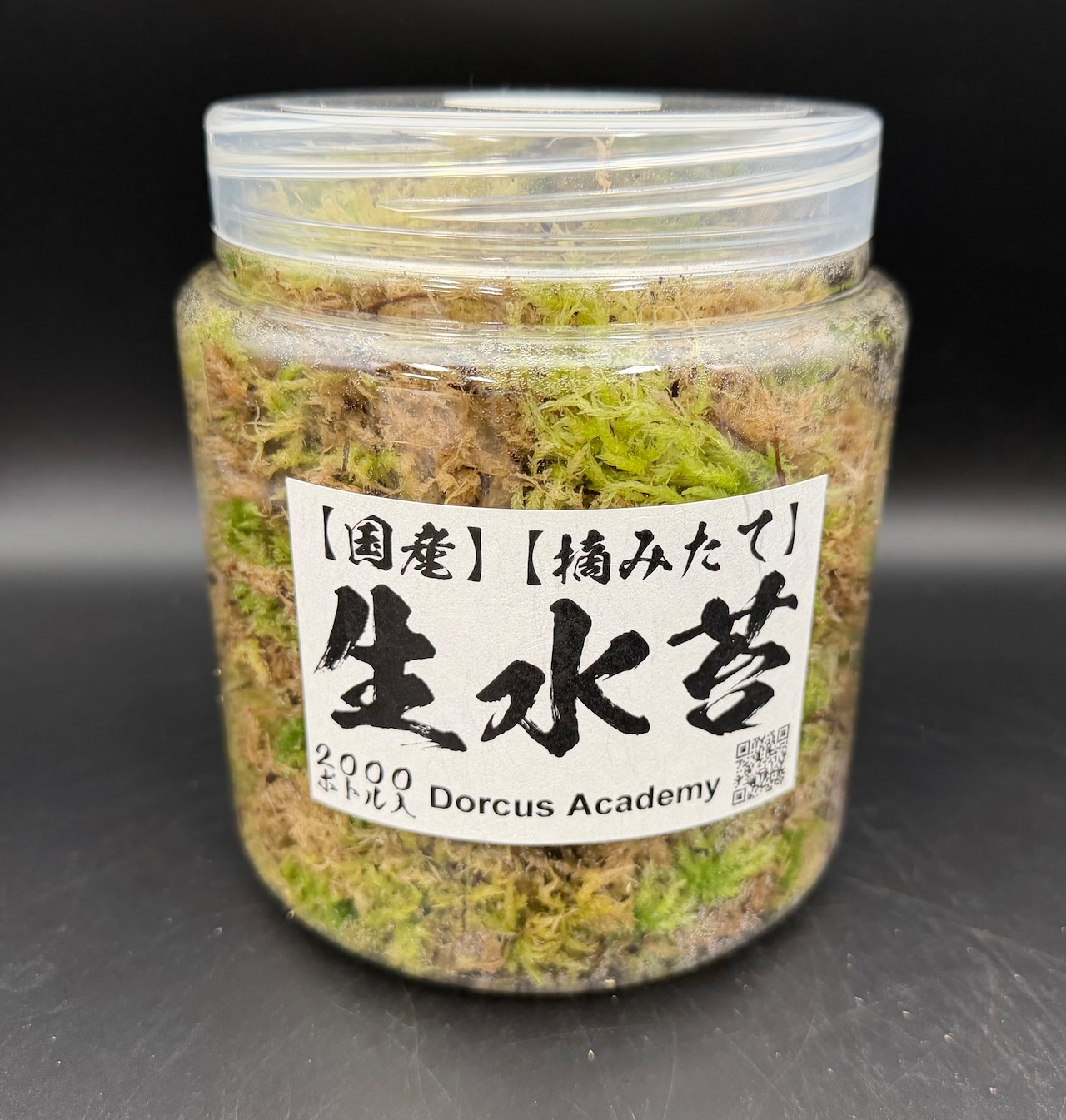 【2L】国産 摘み立て生水苔(生きた水苔)