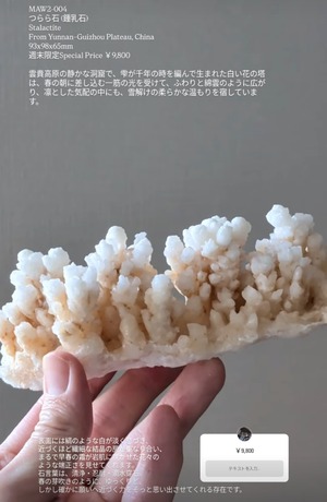 ⭔ お客様専用ページ ⭔ ph_shiratama様　