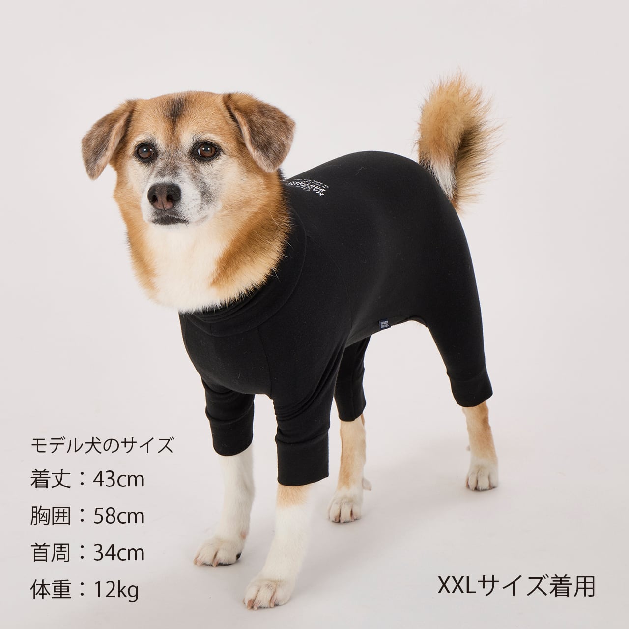 スキンタイトスーツ 犬 【 XL 】『オレンジ』『ターコイズ』 新品 未開封 SKIN TIGHT SUIT(XL.XLB.XXL)スキンタイトスーツ | MANDARINE