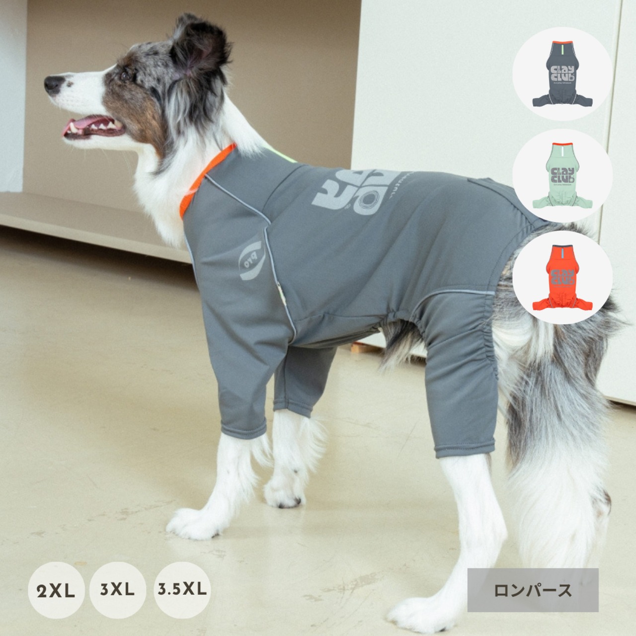 【puppygallery公式】Essential Training Suit  (Standard leg) 　 2XLー3-1/2XL