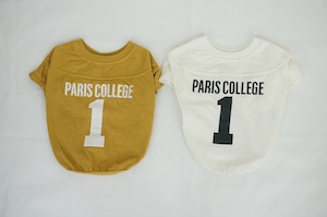 PARIS COLLEGE Football Tee