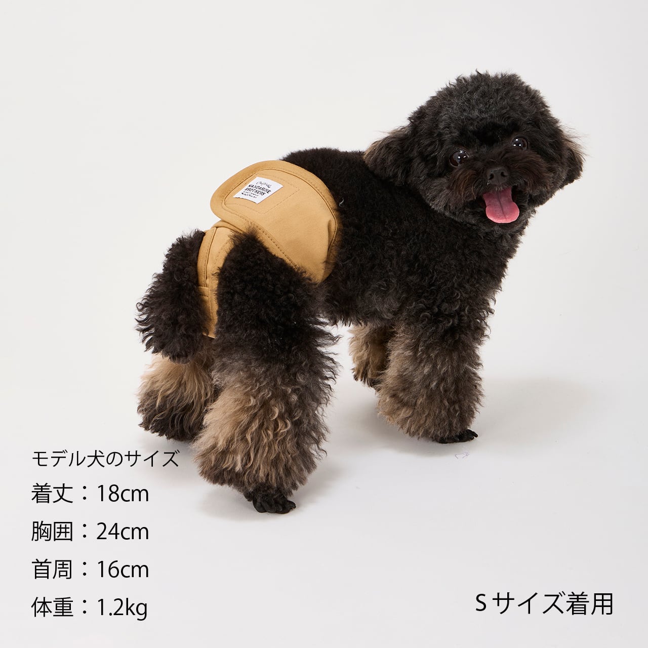 MANNER PANTS（S.M.L）マナーパンツ | MANDARINE BROTHERS マンダリン
