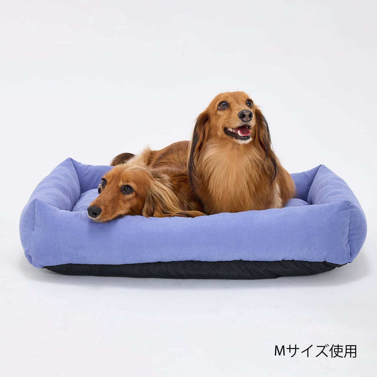 FLAT BED（L） フラットベッド | MANDARINE BROTHERS マンダリン