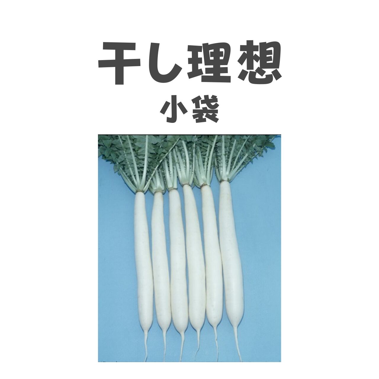 干し理想 ダイコン種子・DF小袋