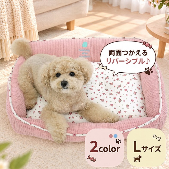 【予約販売10％OFF】jelly bear reversible bed Lsize 2color  / 犬用 ベッド リバーシブル 両面 ふんわり 冬 可愛い クッション ペットマット 猫用 韓国 ペット用品 小型犬 中型犬 ハウス 高級 犬 ペットベッド
