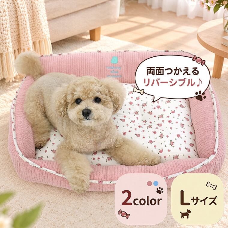 【予約販売10％OFF】jelly bear reversible bed Lsize 2color  / 犬用 ベッド リバーシブル 両面 ふんわり 冬 可愛い クッション ペットマット 猫用 韓国 ペット用品 小型犬 中型犬 ハウス 高級 犬 ペットベッド
