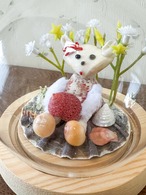 (販売前)貝殻こけしガラスドーム・お座り猫ちゃん