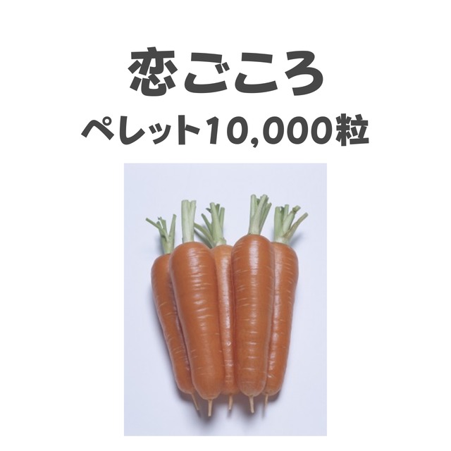 恋ごころ　ニンジン種子・ペレット10,000粒