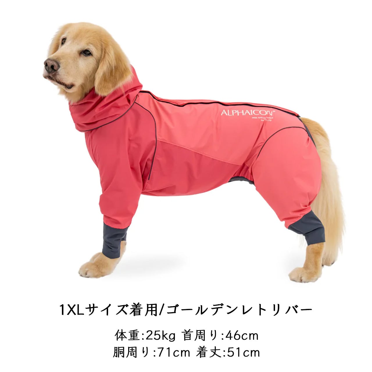 ALPHAICON 犬用ウェア 4L 黒/赤 ALPHAICON アルファアイコン フルドッグガード SUNSET 4L - メルカリ