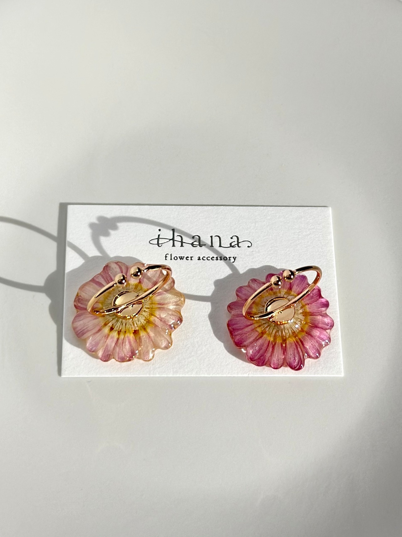 real flower ring「marguerite pink lemonade ② 」【1点限定】