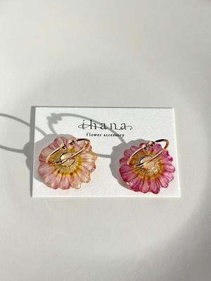 real flower ring「marguerite pink lemonade ② 」【1点限定】