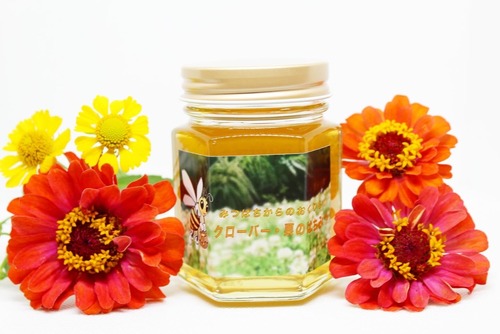 国産純粋はちみつ　クローバー・栗 (130g)