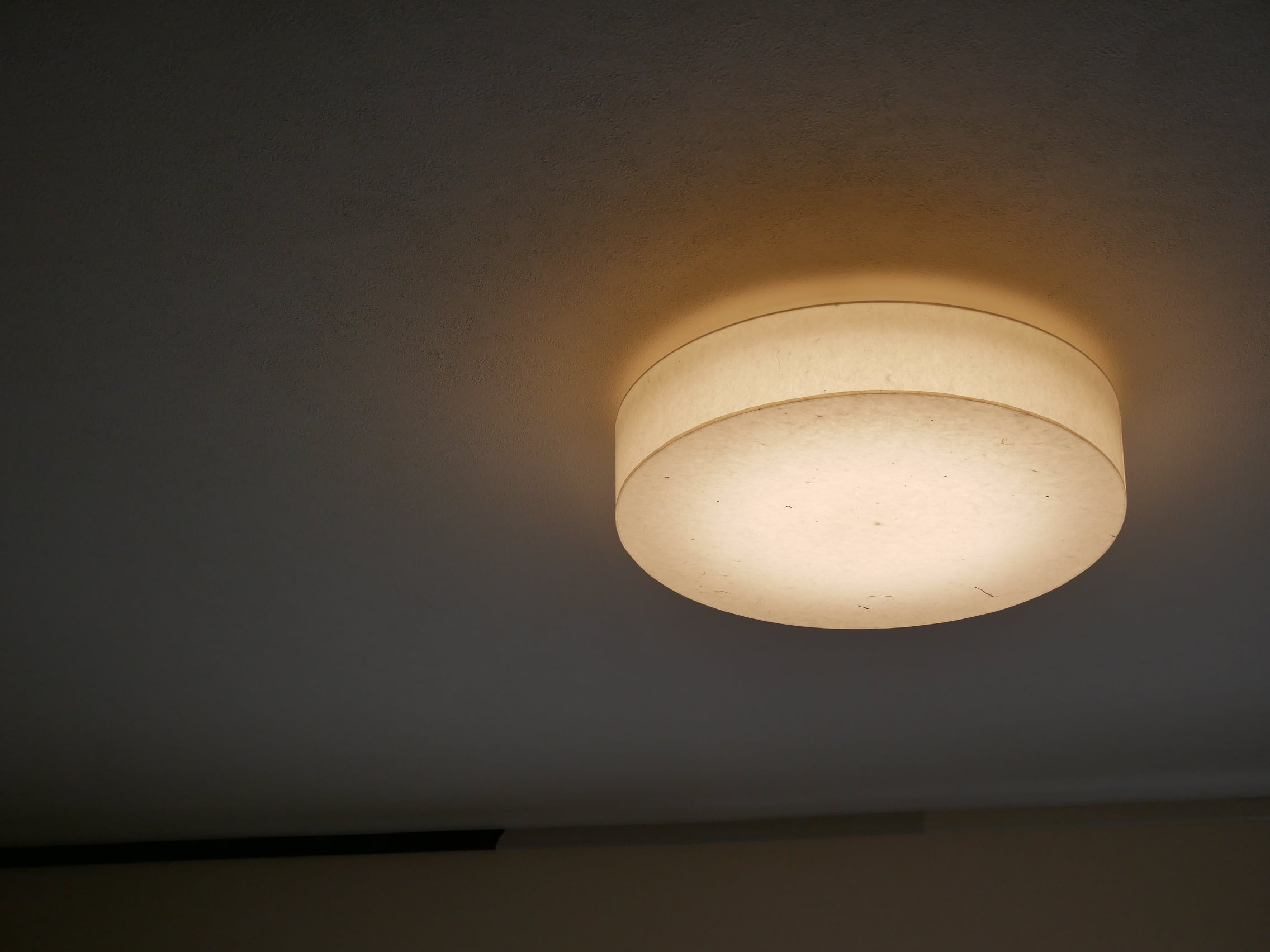 SCHOTTファイバ照明LED光源 ダブルグースネックライトガイド  2-2850-12 - 4