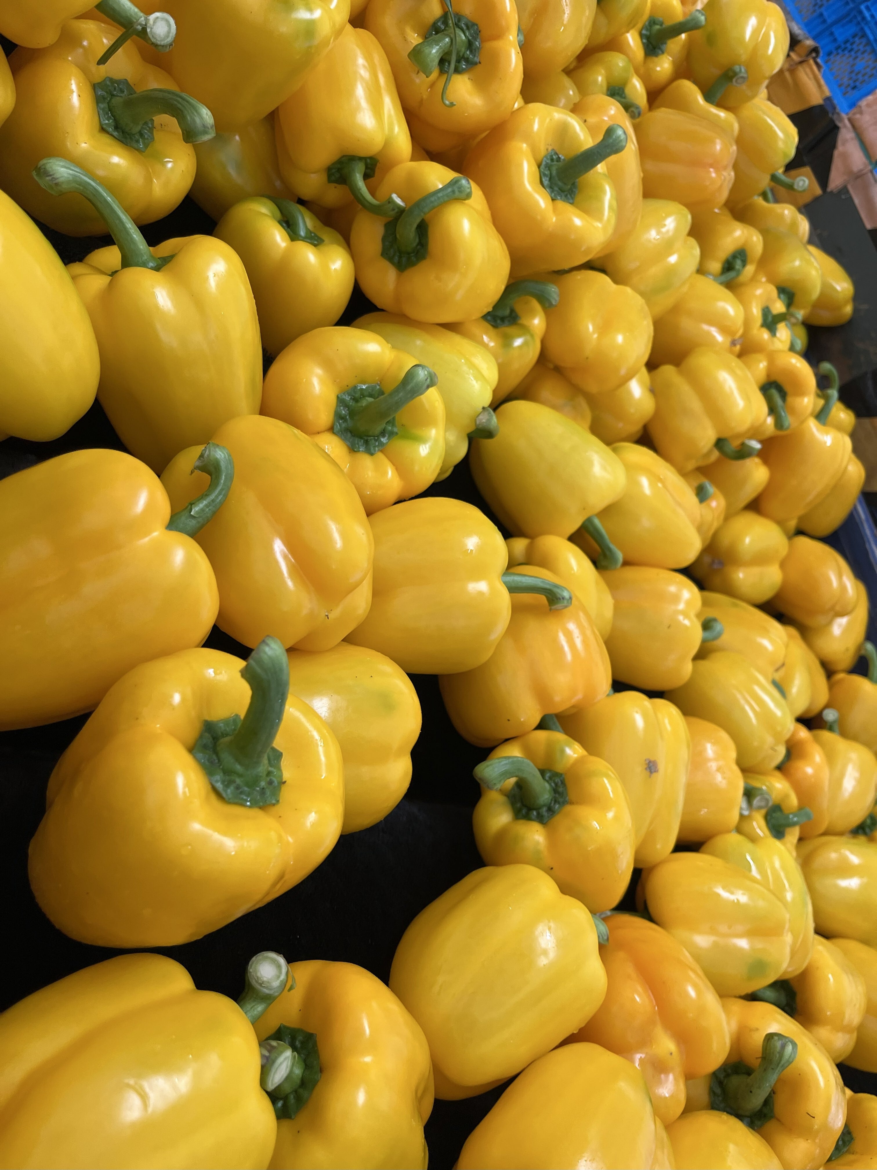 新商品】おやさいねんど 10色 | おやさいクレヨン【公式】オンライン