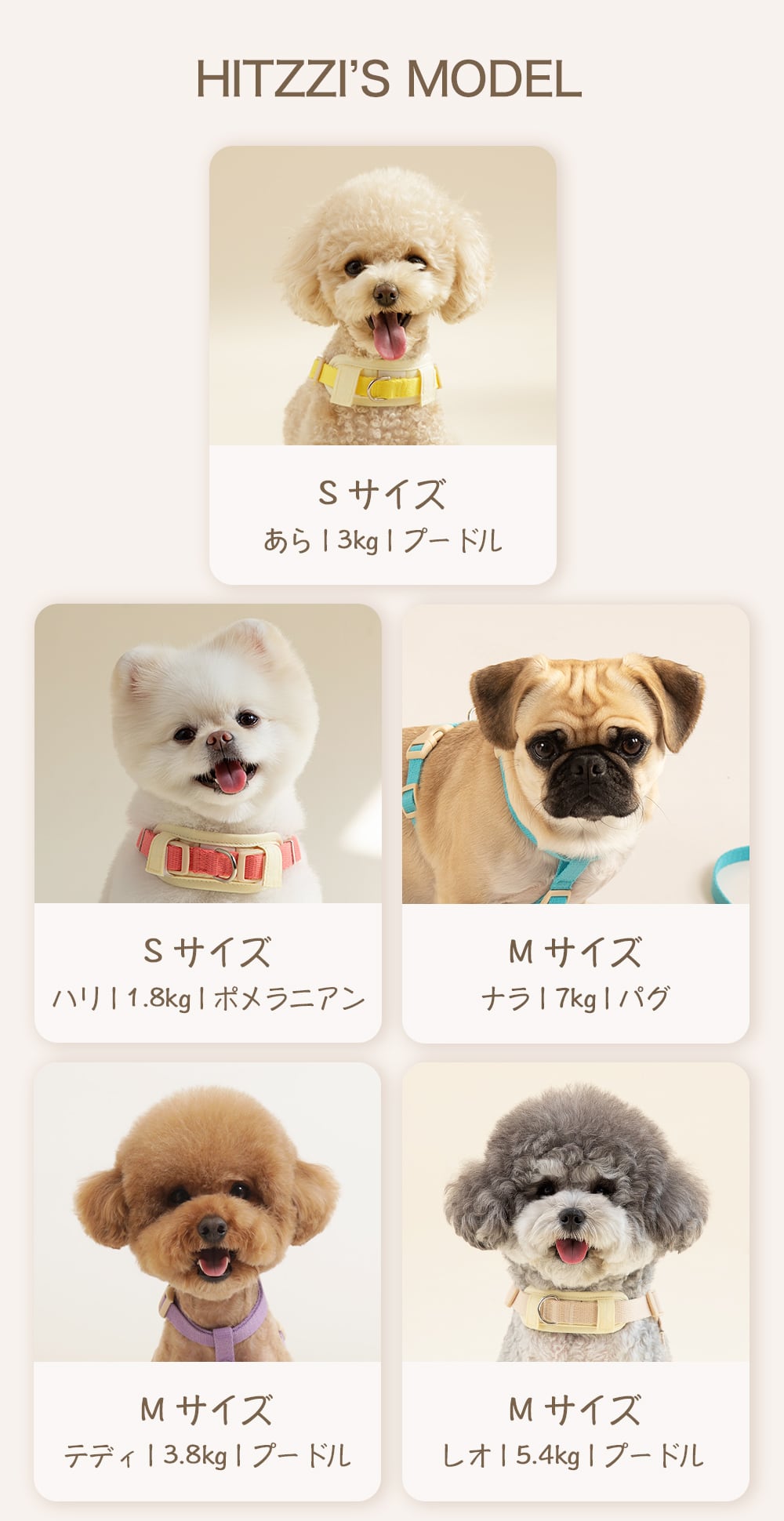 Collar 首輪 | anpi