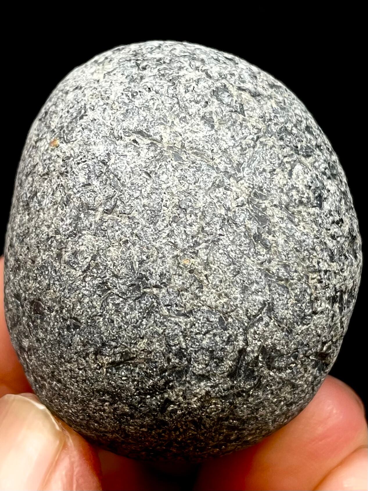 22) 神聖「神威の魂(カムイノタマシイ)」