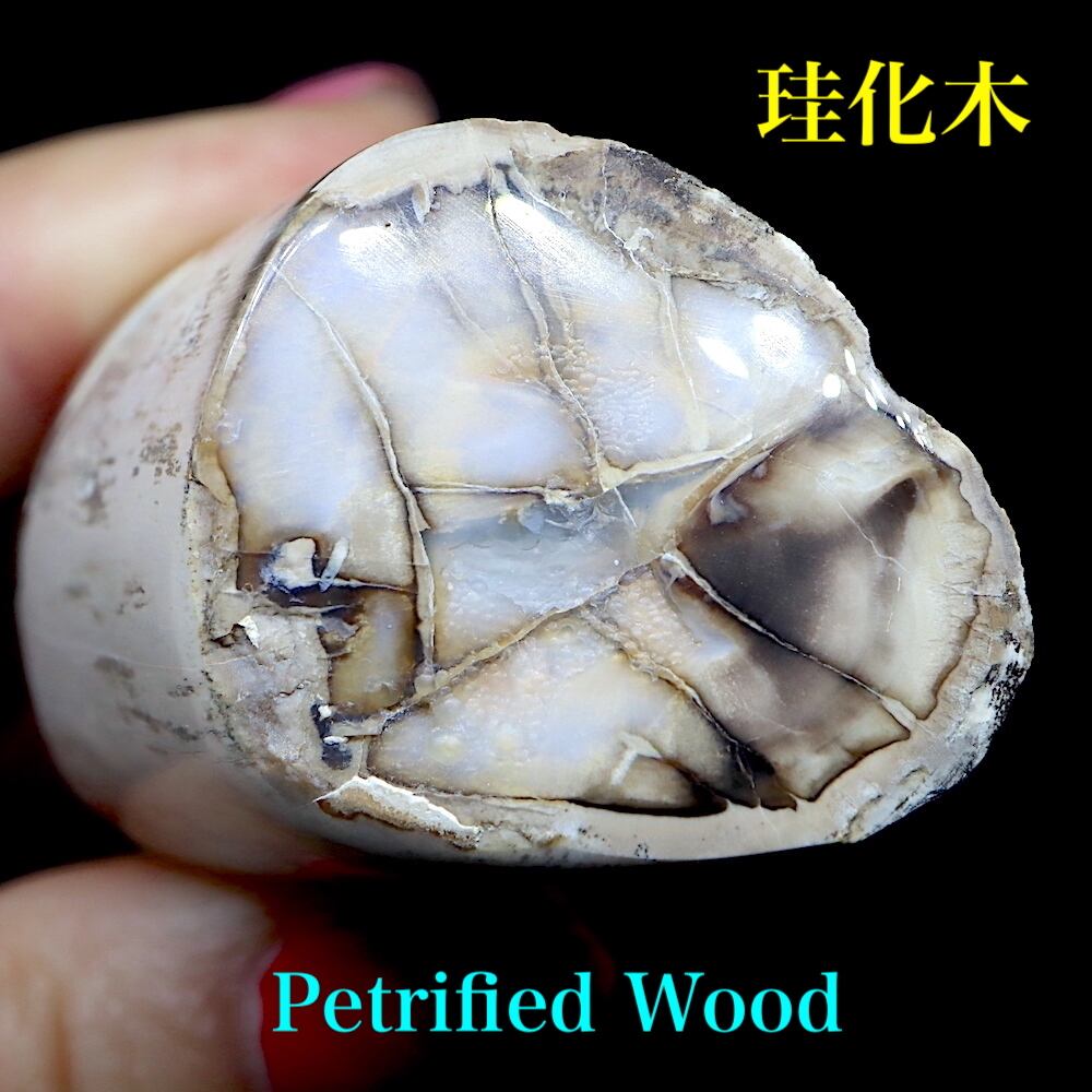 ワイオミング州産ブルーフォレスト 珪化木 ペトリファイドウッド 53g PFW016 鉱物 標本 原石 天然石 パワーストーン | 鉱物 天然石 American Minerals + Gemmy You powered by BASE