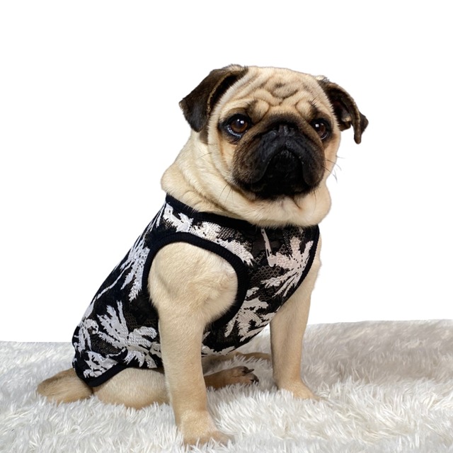 Dog Wear -lace palm tree-　　dogw-61