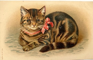 【10%オフ】Dorothy Travers Pope画 美しい茶トラ猫さんのポストカード【1900年代 フランス】