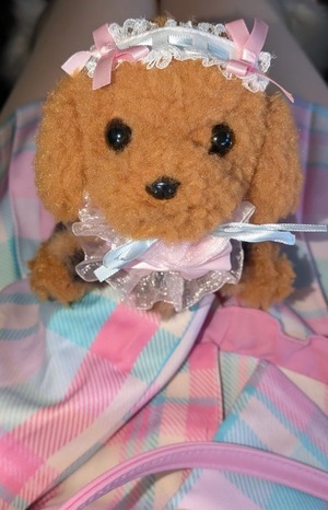 このチェック柄のセットアップチェキ(2枚セット)