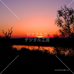 釧路湿原に沈む夕日1　 Sunset over Kushiro Marsh 1