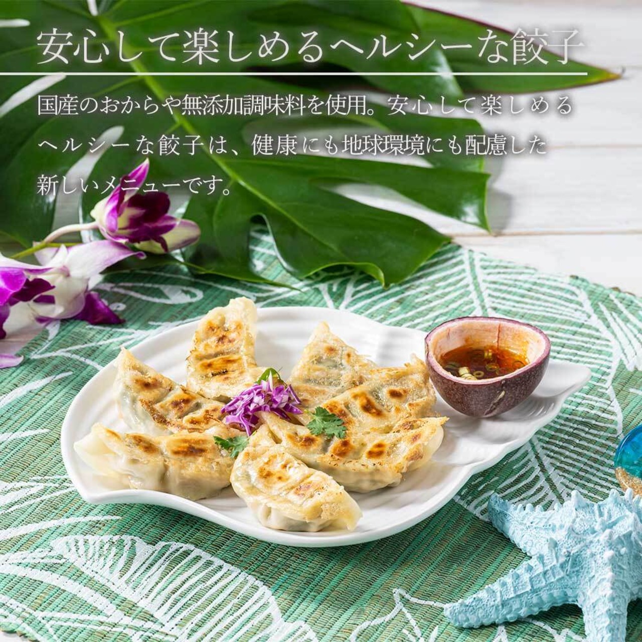 PEACE CAFE HAWAII ピースカフェハワイ  PEACEFUL GYOZA（ピースフル 餃子）ギフトパック プラントベース＆ヴィーガン 18個入×2箱