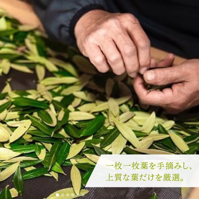 イキカエル健康便①：オリーブリーフパウダー 「オリーブ葉のちから
