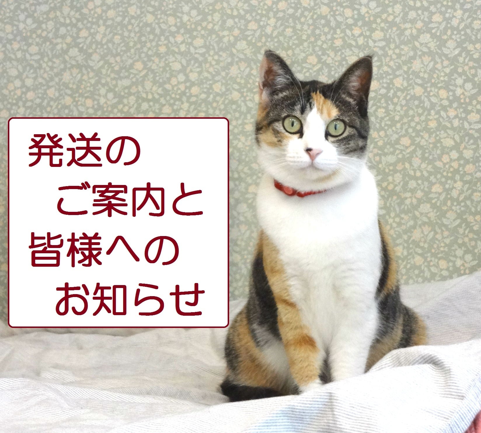 発送のご案内と皆さまへのお知らせ** | 雑貨wilko 発送のご案内と皆さまへのお知らせ** | 雑貨wilko