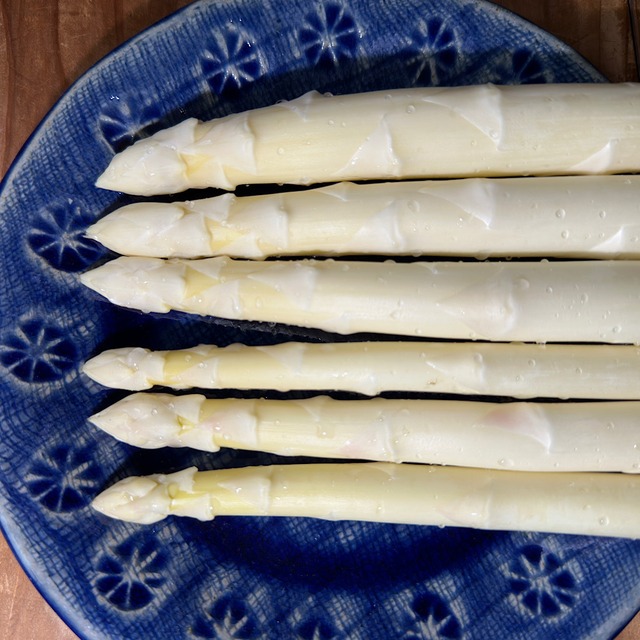 那須の麓の朝採り白いアスパラ　1,000g　サイズおまかせ