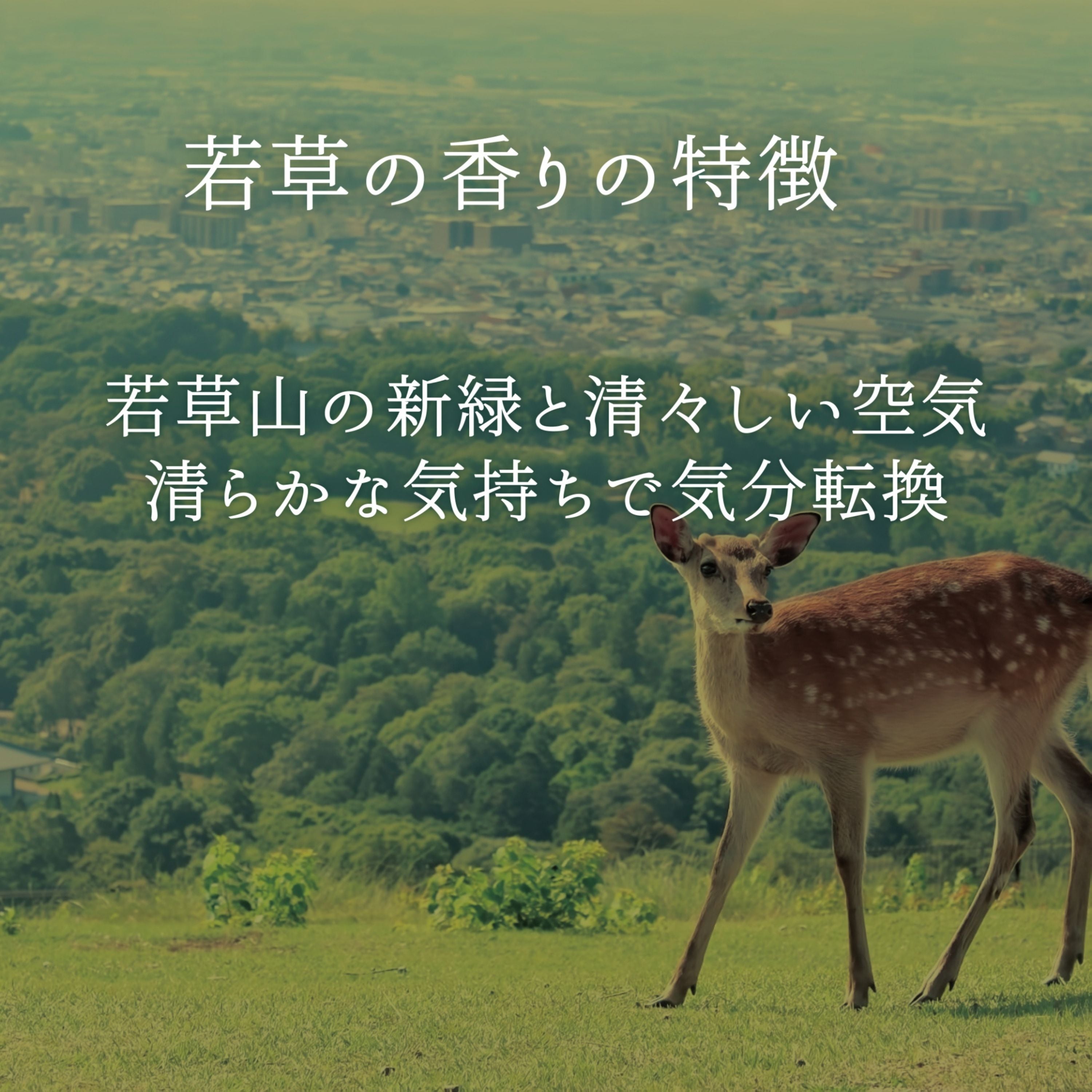 奈良 若草のお香 | 松田商店