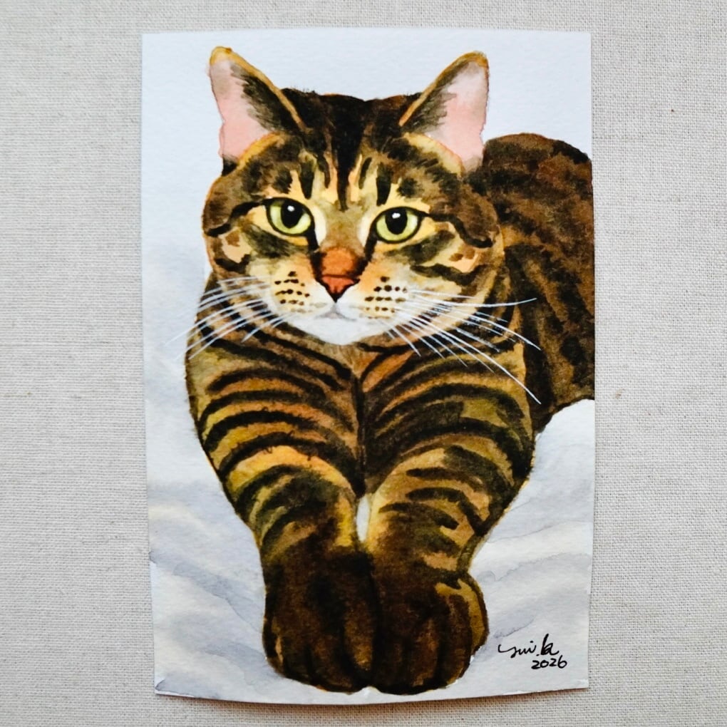 猫の絵 440 水彩画 原画 キジトラ | Forest cat