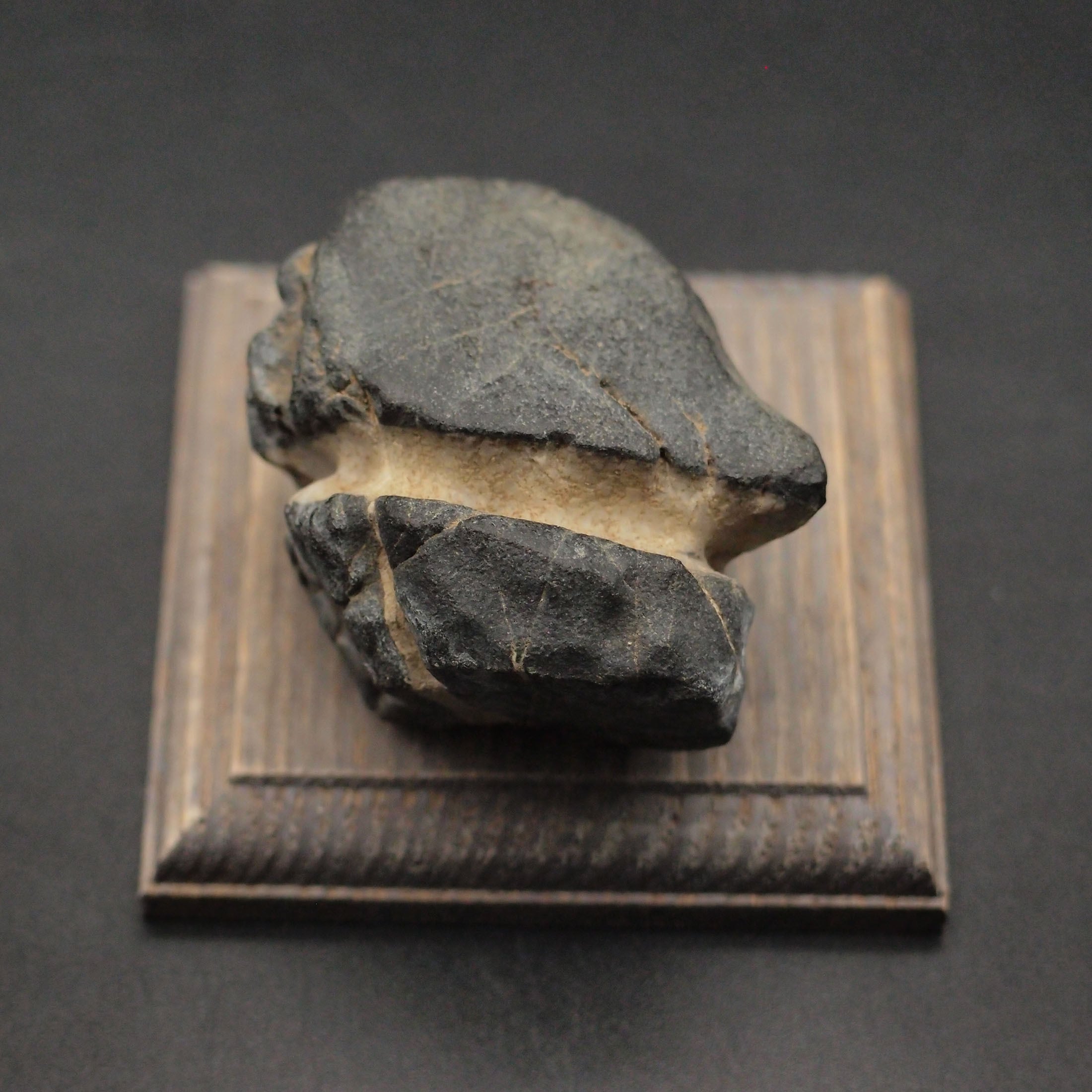 水石・葛屋石(くずやいし)・茅舎石(くずやいし) (B01) ※生石、台座付き