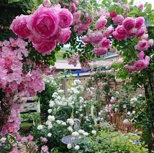 3/21まで☆あなたの内なる姫をもてなすハーブバスソルトお試しセット