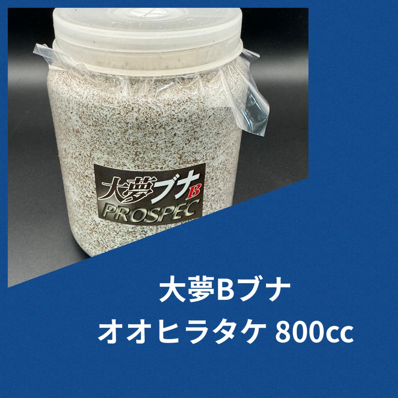 送料無料!!【40本セット】大夢Bブナ オオヒラタケ 800cc