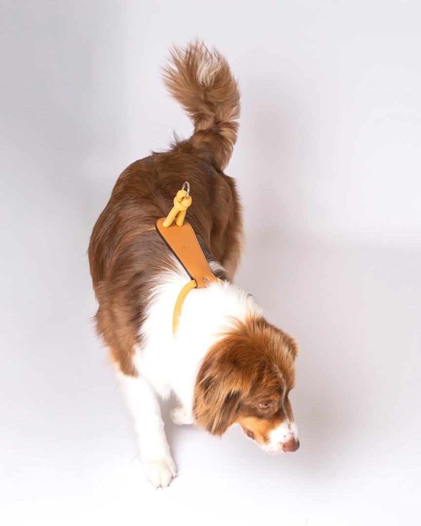 XLサイズ」エッセンシャルハーネス【HOZI】 | HOZI(ホジ)