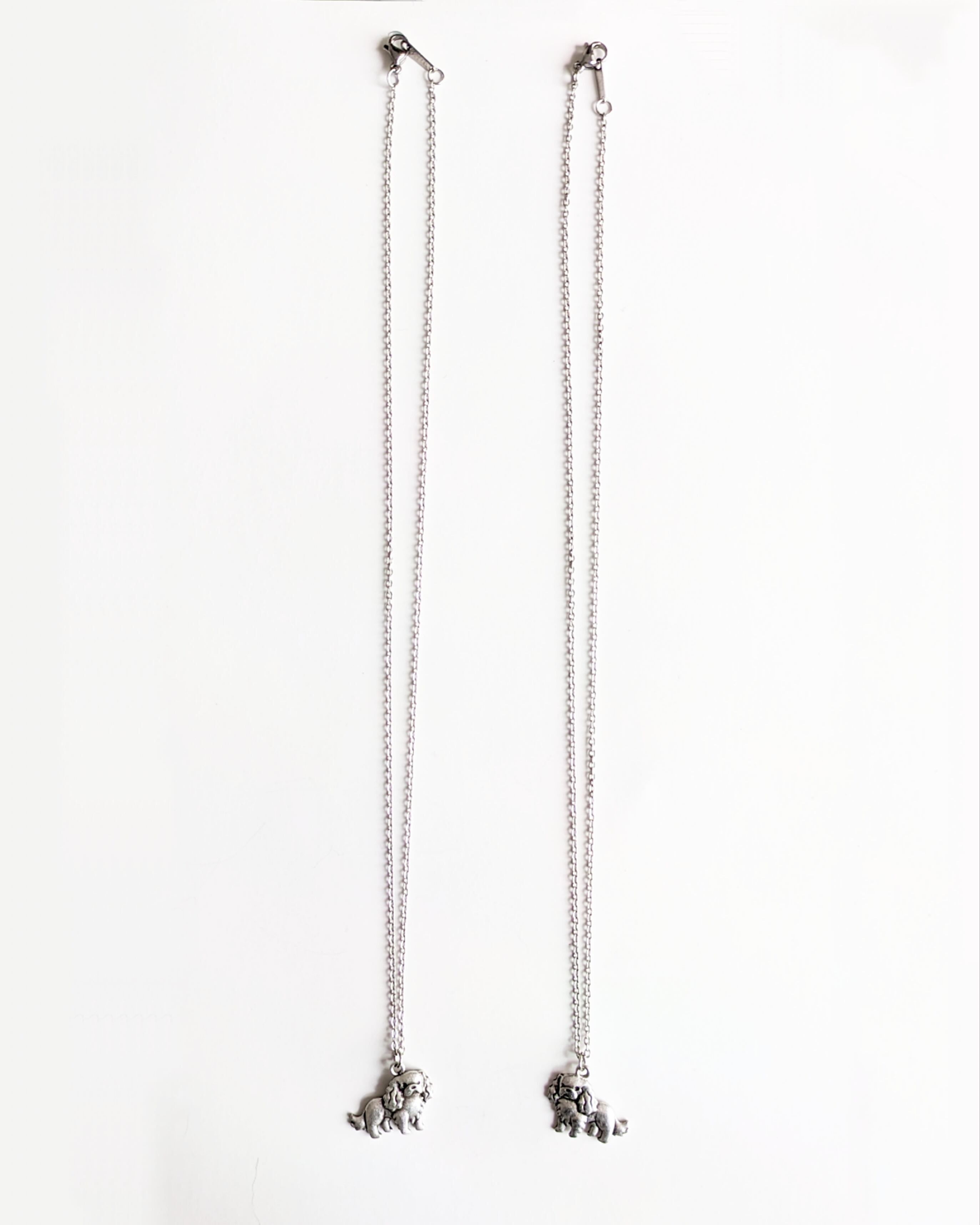 【necklace】キャバリアキングチャールズスパニエル