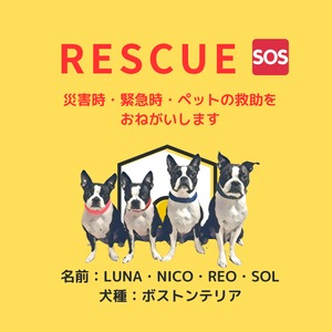 塩ビ素材ステッカー1枚　【レスキュー】　