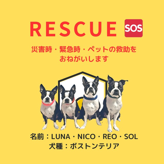 塩ビ素材ステッカー1枚　【レスキュー】　