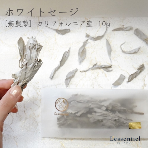 【 ホワイト・セージ 】10g サルビア ハーブ アロマ 浄化 瞑想 お香 無農薬 カリフォルニア デトックス おうち時間